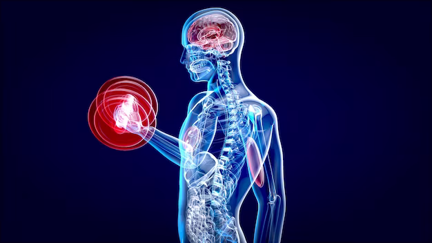 Which Part of the Body Has the Most Nerve Endings?