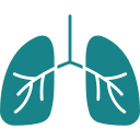 Pulmonology